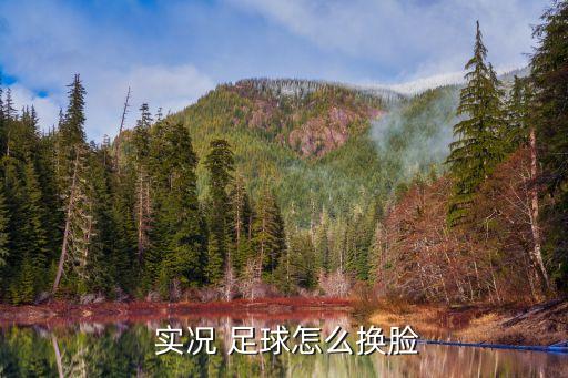 實(shí)況足球2013北京國(guó)安臉型