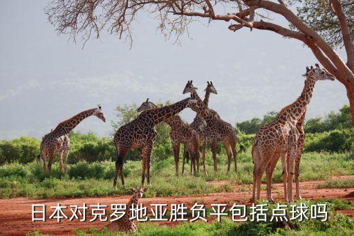  日本對(duì)克羅地亞勝負(fù)平包括點(diǎn)球嗎