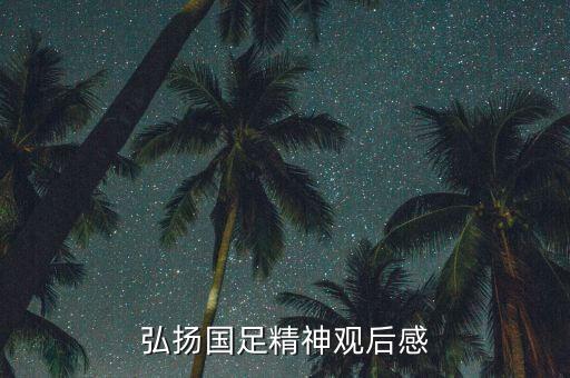 弘揚(yáng)國足精神觀后感