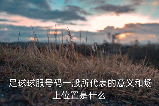  足球球服號(hào)碼一般所代表的意義和場上位置是什么
