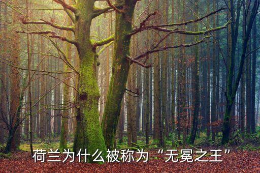 荷蘭足球隊的輝煌,荷蘭國家足球隊