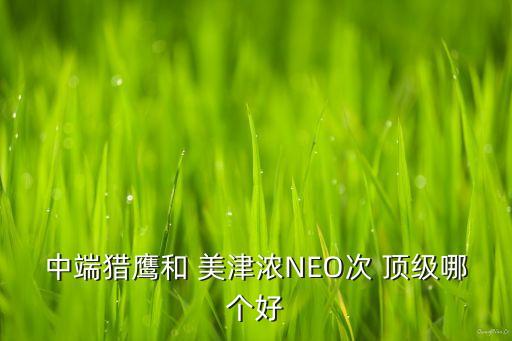 中端獵鷹和 美津濃NEO次 頂級哪個好