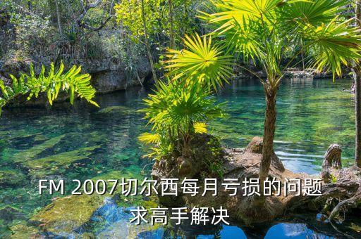 FM 2007切爾西每月虧損的問題求高手解決