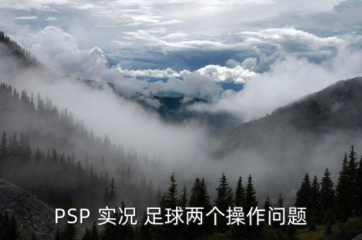 PSP 實(shí)況 足球兩個(gè)操作問題