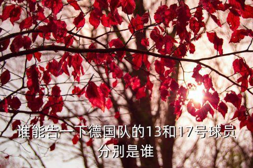 誰能告一下德國隊的13和17號球員分別是誰