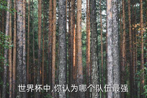 克羅斯和內(nèi)馬爾哪個踢足球厲害呀