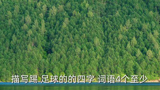 描寫踢 足球的的四字 詞語4個(gè)至少