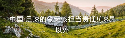 足球俱樂(lè)部青訓(xùn)總監(jiān)職責(zé)