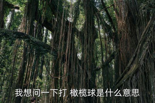 我想問一下打 橄欖球是什么意思