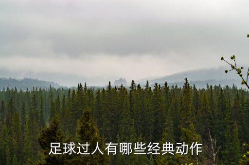 足球過人排名,足球歷史過人能力排名
