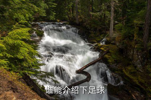 希臘和波蘭足球賽解說(shuō)詞
