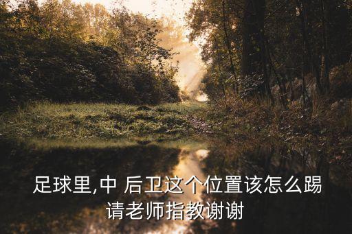  足球里,中 后衛(wèi)這個(gè)位置該怎么踢請(qǐng)老師指教謝謝