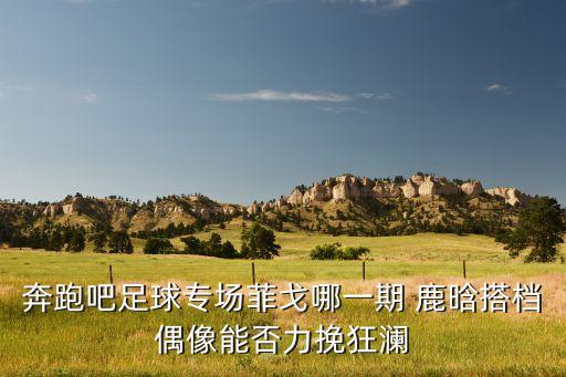 奔跑吧足球?qū)?chǎng)菲戈哪一期 鹿晗搭檔偶像能否力挽狂瀾
