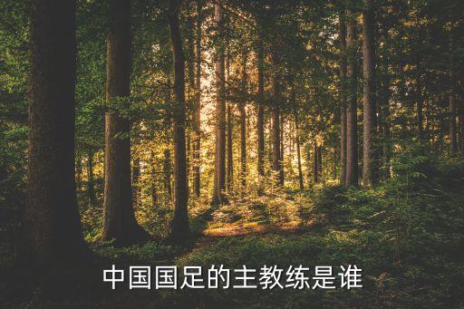 卓爾足球隊胡壯,武漢長江足球隊還是卓爾的嗎