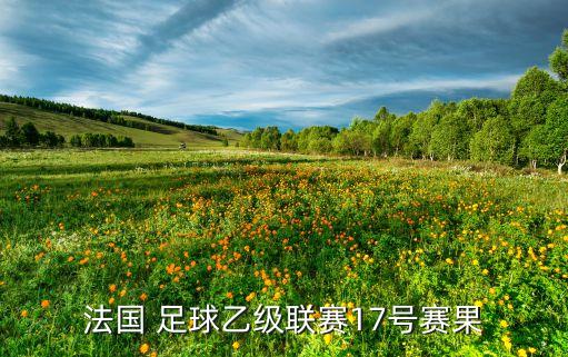 法國(guó) 足球乙級(jí)聯(lián)賽17號(hào)賽果