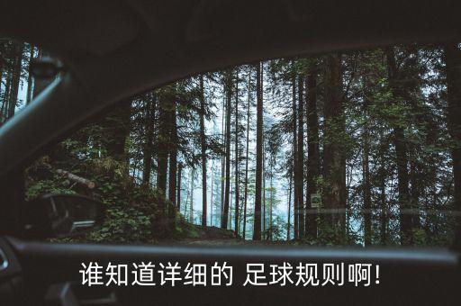 誰(shuí)知道詳細(xì)的 足球規(guī)則啊!
