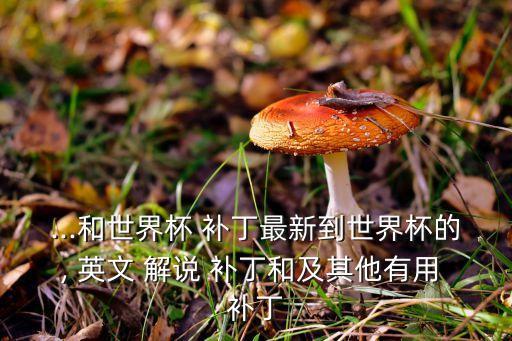 ...和世界杯 補(bǔ)丁最新到世界杯的, 英文 解說 補(bǔ)丁和及其他有用 補(bǔ)丁