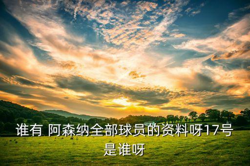 誰有 阿森納全部球員的資料呀17號(hào)是誰呀