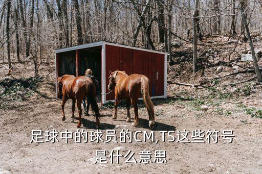  足球中的球員的CM,TS這些符號是什么意思