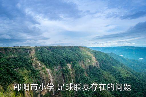 邵陽市小學 足球聯(lián)賽存在的問題
