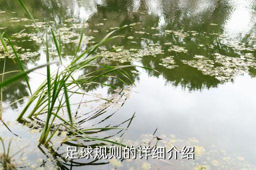 足球裁判球員跑動(dòng)距離,足球全場(chǎng)跑動(dòng)距離最長(zhǎng)的球員