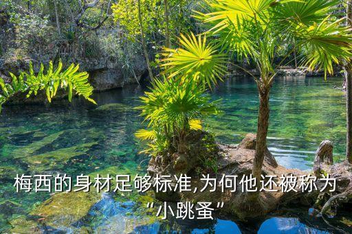足球十大矮個(gè)子球員,巴西足球歷史十大最強(qiáng)球員