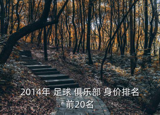 2014年 足球 俱樂部 身價(jià)排名前20名