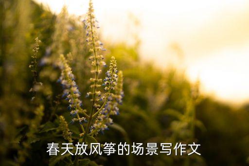 春天放風(fēng)箏的場景寫作文