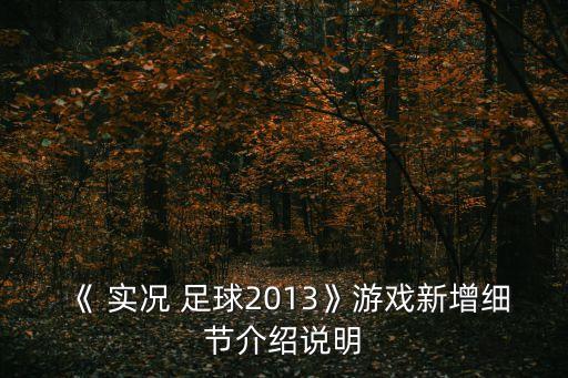 實(shí)況足球2009 內(nèi)馬爾