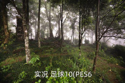  實況 足球10(PES6