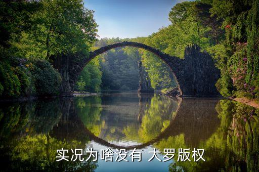 實況足球2018大羅臉型補丁
