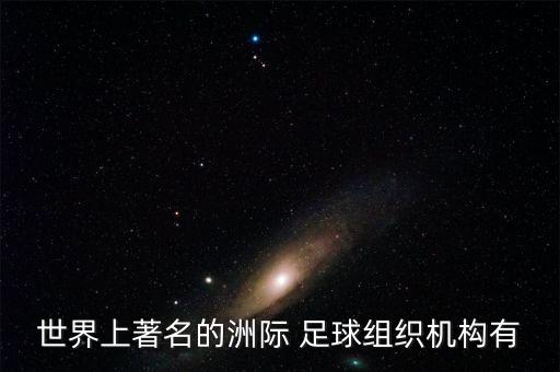 世界上著名的洲際 足球組織機構(gòu)有