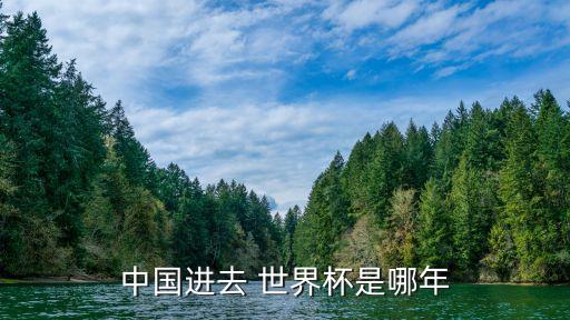 中國(guó)進(jìn)去 世界杯是哪年