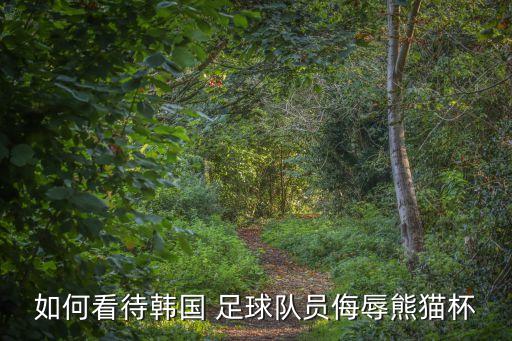 如何看待韓國 足球隊(duì)員侮辱熊貓杯