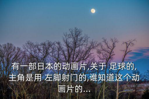 有一部日本的動畫片,關(guān)于 足球的,主角是用 左腳射門的,誰知道這個(gè)動畫片的...