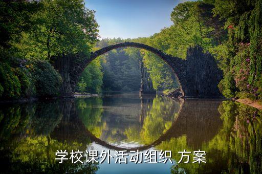 學(xué)校課外活動組織 方案