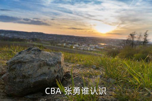 張勇 足球運(yùn)動(dòng)員,張勇足球教練