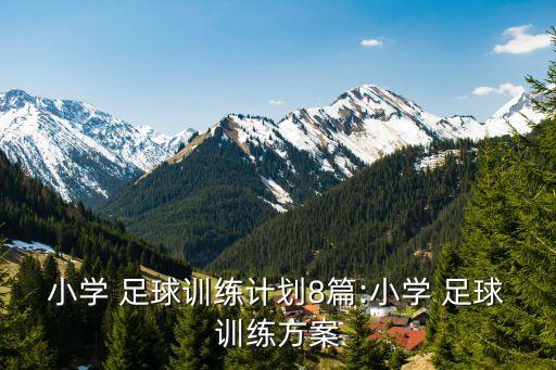 小學 足球訓練計劃8篇:小學 足球訓練方案