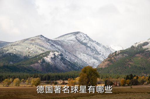 外國(guó)足球明星有多少,奔跑吧兄弟請(qǐng)的外國(guó)足球明星