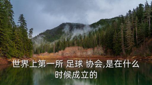 足球國際協(xié)會,足球協(xié)會屬于什么單位