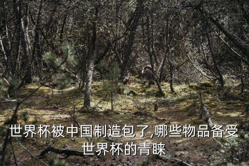 世界杯被中國(guó)制造包了,哪些物品備受世界杯的青睞