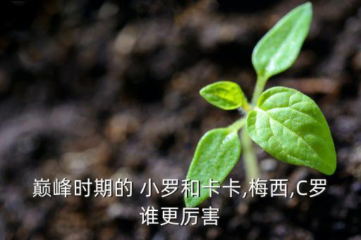 巔峰時期的 小羅和卡卡,梅西,C羅誰更厲害