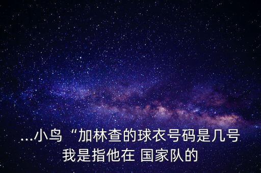 ...小鳥“加林查的球衣號碼是幾號我是指他在 國家隊的