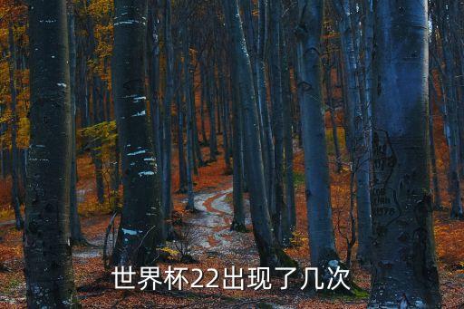 世界杯22出現了幾次