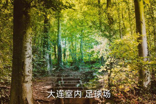  大連室內(nèi) 足球場(chǎng)