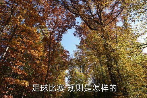 足球規(guī)則頂球,足球讓球規(guī)則詳細表圖片