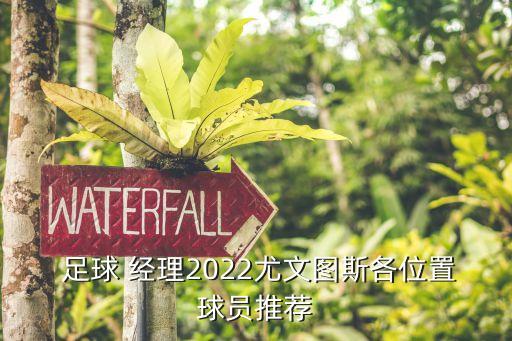  足球 經(jīng)理2022尤文圖斯各位置球員推薦