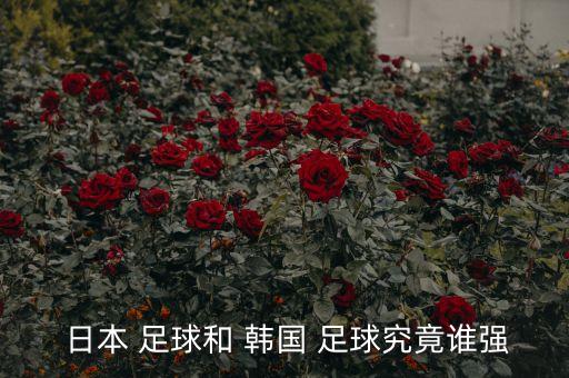  日本 足球和 韓國(guó) 足球究竟誰(shuí)強(qiáng)