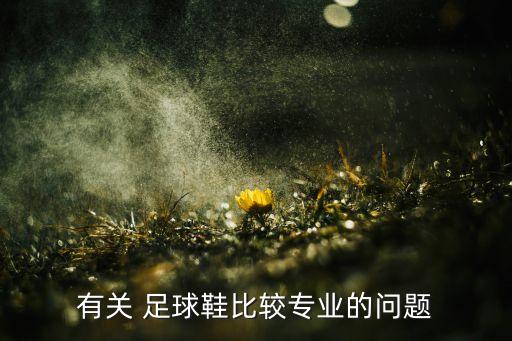 有關(guān) 足球鞋比較專(zhuān)業(yè)的問(wèn)題