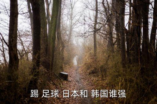 踢 足球 日本和 韓國(guó)誰(shuí)強(qiáng)